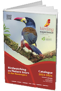 Recevez notre brochure - Birding Experience