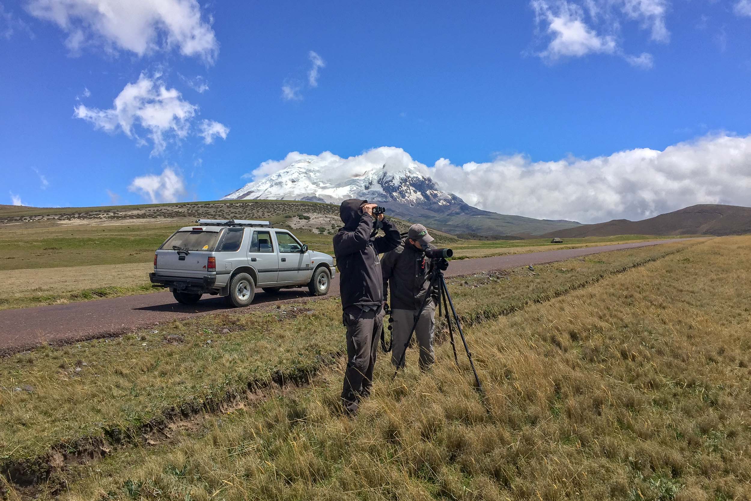Observateurs au travail dans les hautes plaines, Equateur - Des deux côtés des Andes avec Birding Experience