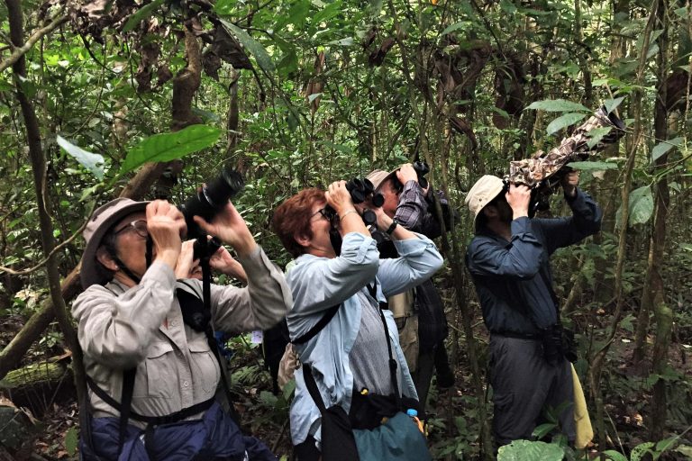 Observers and photographers, Ecuador - Lower Tandayapa Valley - On both sides of the Andes with Birding Experience