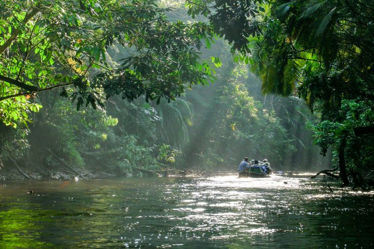 Navigation sur une rivière d'Amazonie - Départ pour la ville de Coca - Station Biologique du Tiputini avec Birding Experience