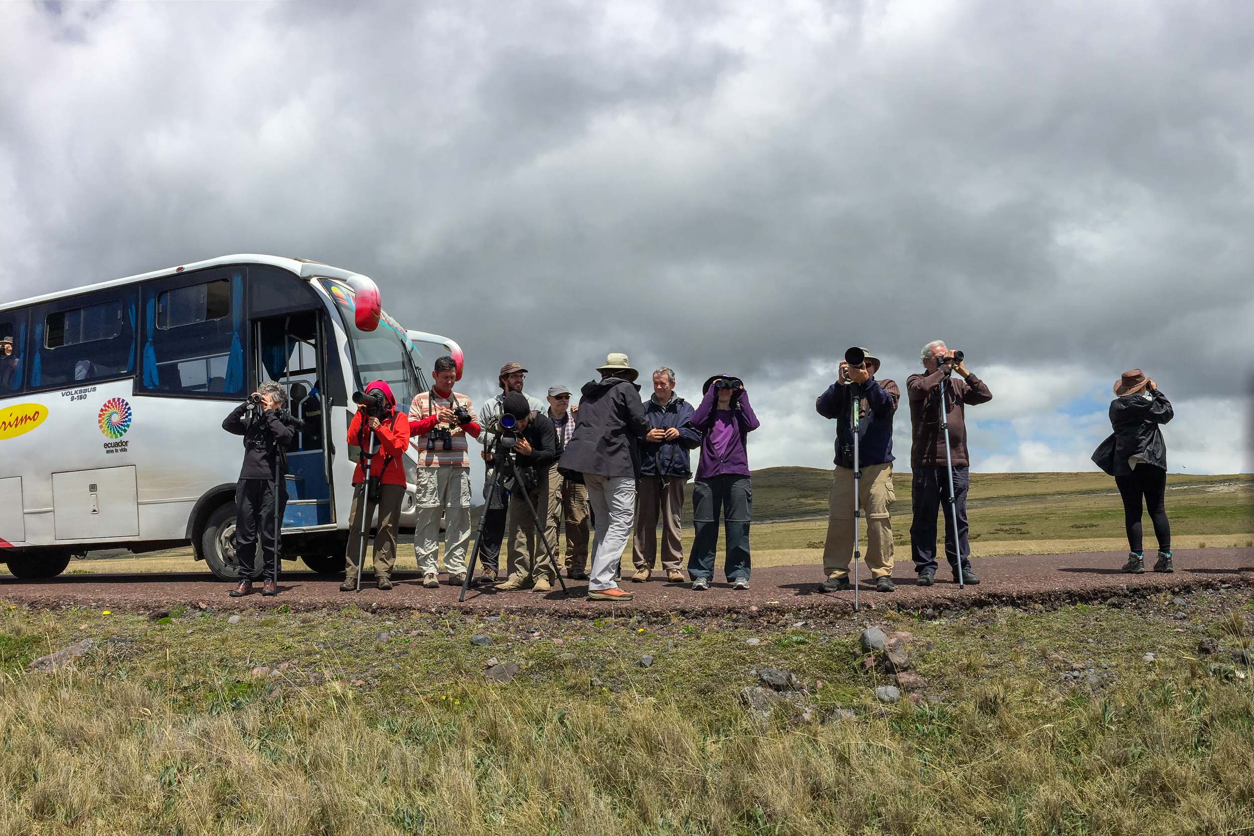 Specialized transport for birding tours