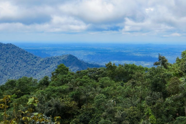 Un peu du Chocó équatorien avec Birding Experience