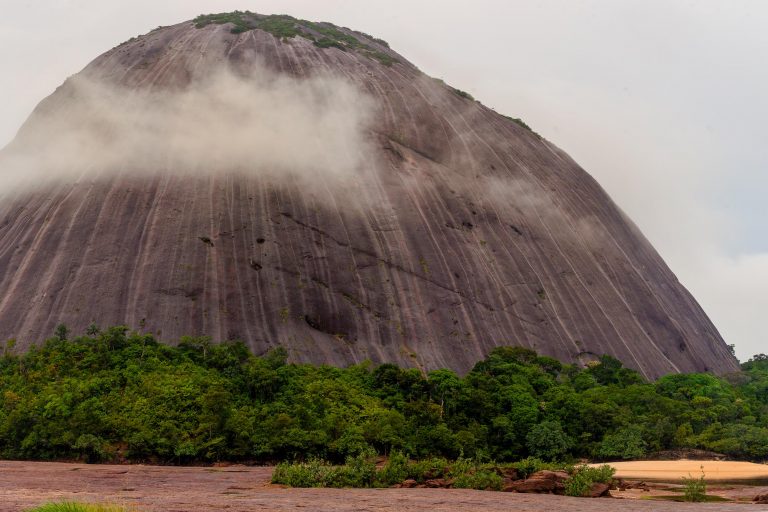 Cerros de Mavecure - Mavecure Stone - Inírida, Les forêts de sable blanc de Colombie. avec Birding Experience