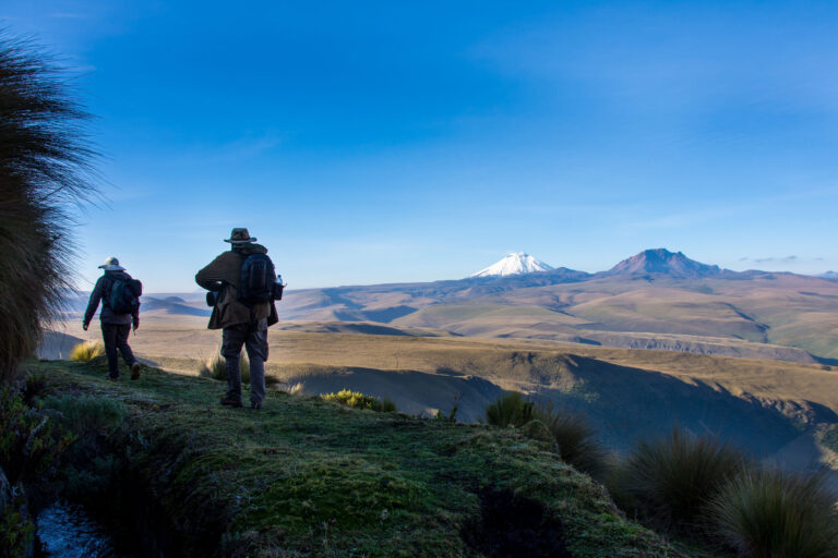 Antisana - On both sides of the Andes with Birding Experience